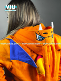 Charizard Micropolar